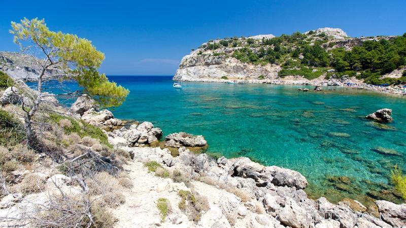 Iatridis (adults Only) *